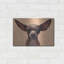 "Chihuahua" par Thomas Fluharty-1534620230