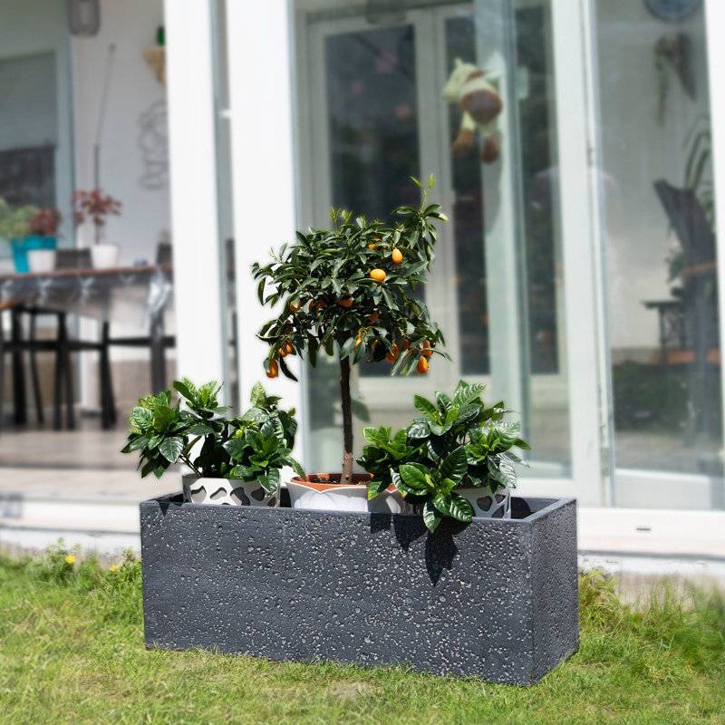Disalvo Planter Box, 28cm H x 76cm W x 28cm D