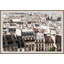 Rooftop Jungle 1 Print-698675214