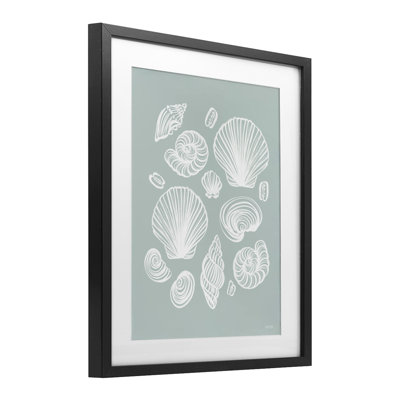 Tossed Sea Shells Sea Foam Framed Print Under Glass, design by House Fenway