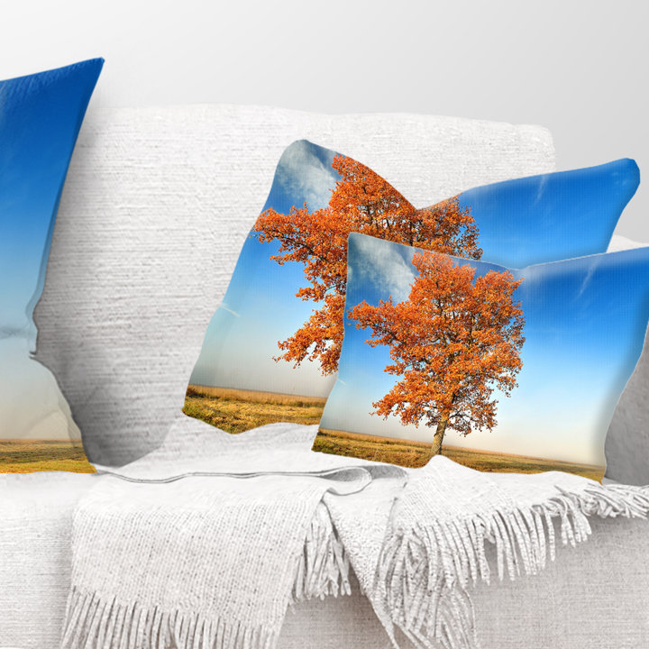 Throw Pillow
