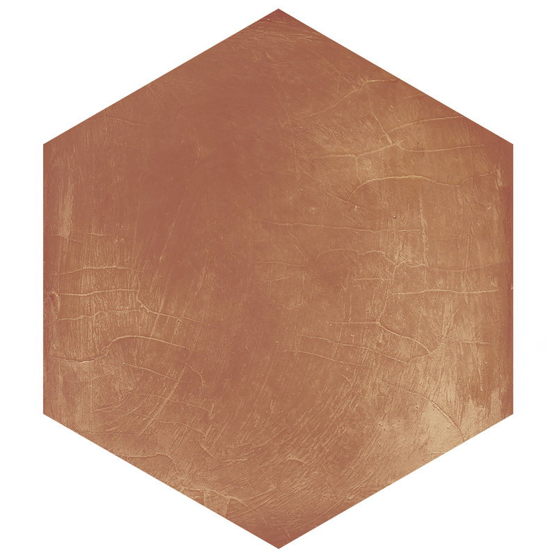 Carreau de plancher et de mur en porcelaine Sentier Hex 5-1 / 2 po x 6-1 / 4 po