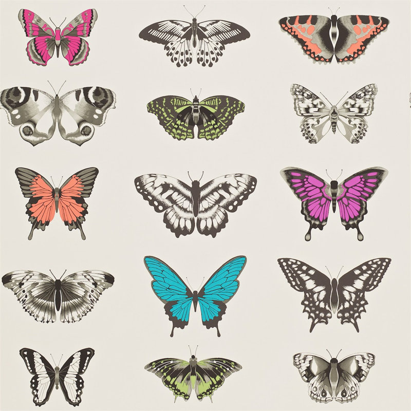 Papilio 10.05m x 68.6cm Wallpaper Roll