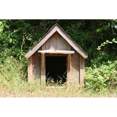 " Dog House In Grass "
