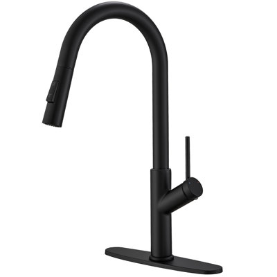 VIBRANTBATH Pull Out Kitchen Faucet