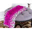 Couverture luxueuse à imprimé zébré-703814842-803266433