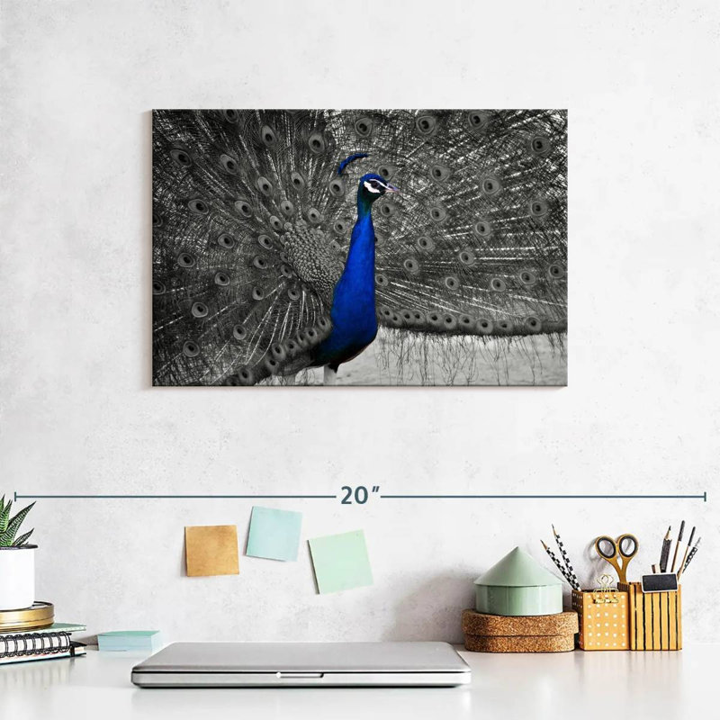 Brampt Peacock Pop, 8" H x 12" W