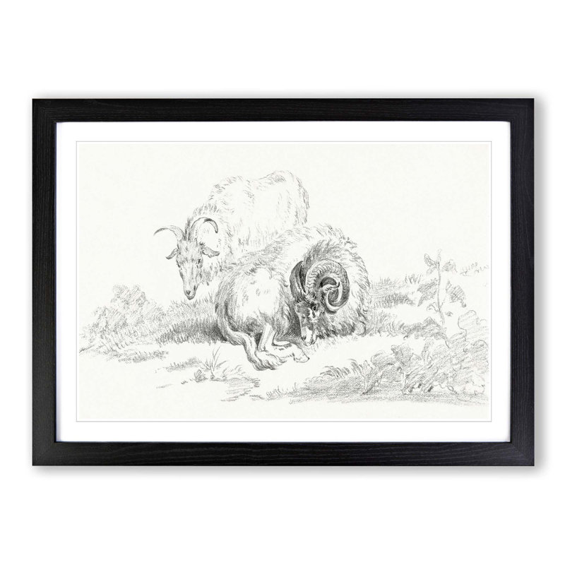 Sketch of Two Goats by Jean Bernard - Picture Frame Drawing Print, Black Framed, 48cm H x 65cm W x 2cm D