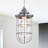 Pequoig 1 - Light Single Pendant