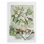 Bouquet «Merry Christmas» - Impression sur toile seulement - NON-CADRE