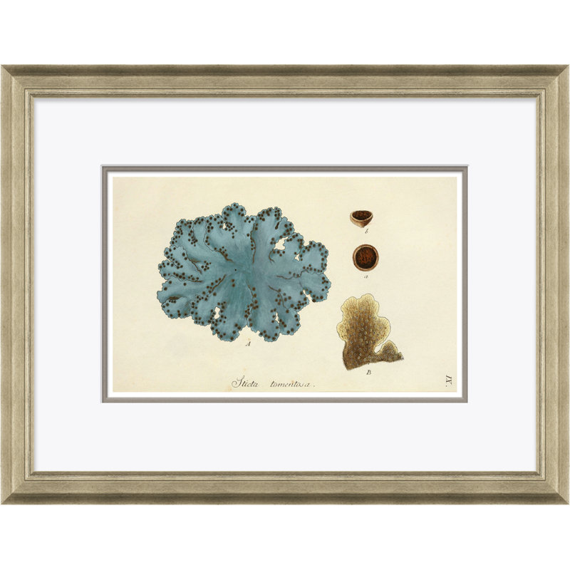 Blue Coral Giclee Print by Paul Cezanne