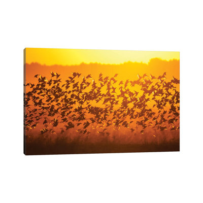 Murmuration by Mateusz Piesiak - Wrapped Canvas Print
