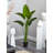 Travelers Palm Tree Artificial Plant