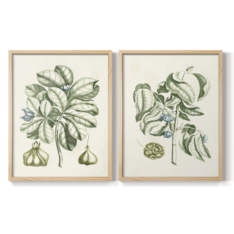 Reproduction encadrée de qualité supérieure Buchoz Tropicals IX - prête à être accrochée, Doré, H 11 po x l 18 po