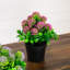 Arrangement