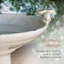 Ceramic / Porcelain Pedestal Birdbath-4462997