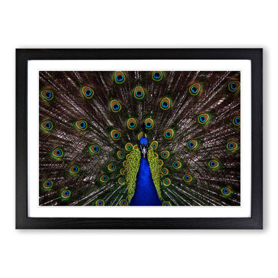 Single Picture Frame Print