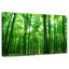 Alvord ensoleillé vert forêt-107688144