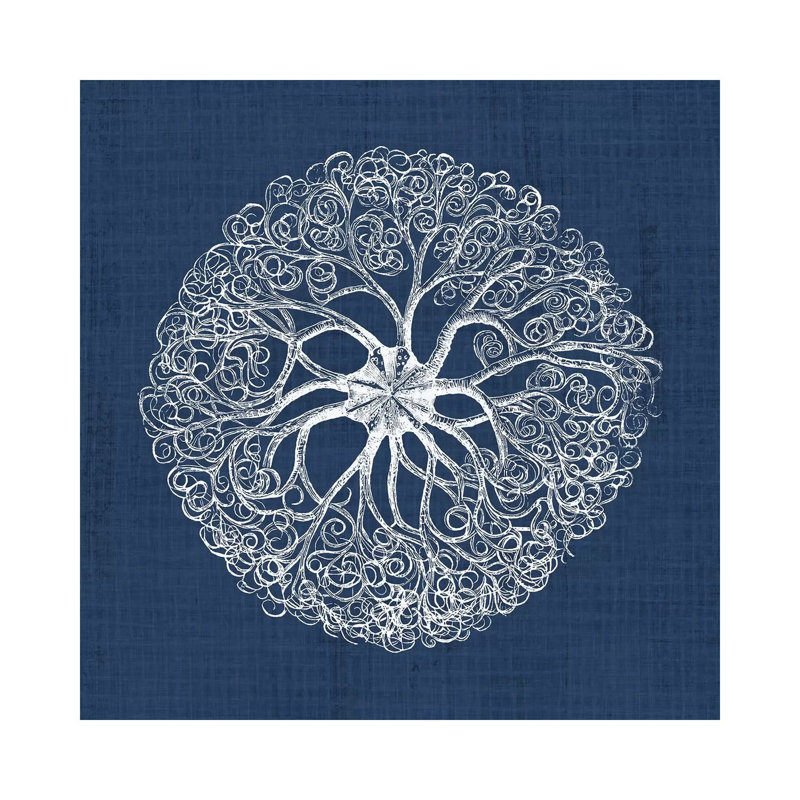 Sea Anemone On Indigo II by Vision Studio - Wrapped Canvas Gallery-Wrapped Canvas Giclée, 45.72 cm H x 45.72 cm W