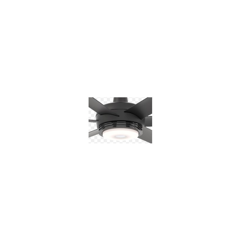 LED Ceiling Fan Globe Light Kit, Black