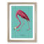 Flamingo in Teal by John Audubon - Picture Frame Graphic Art Print on MDF-62801687-62801677