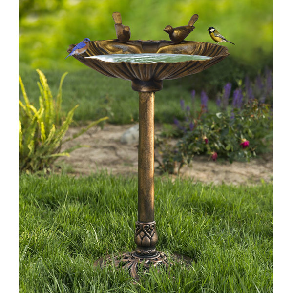 Bird Bath Splash Zone