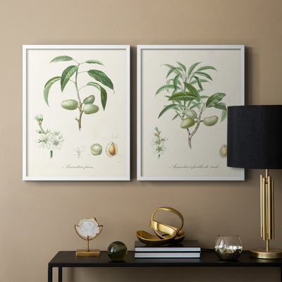 Impression encadrée botanique antique I-Premium - prête à être accrochée - aucun clou requis