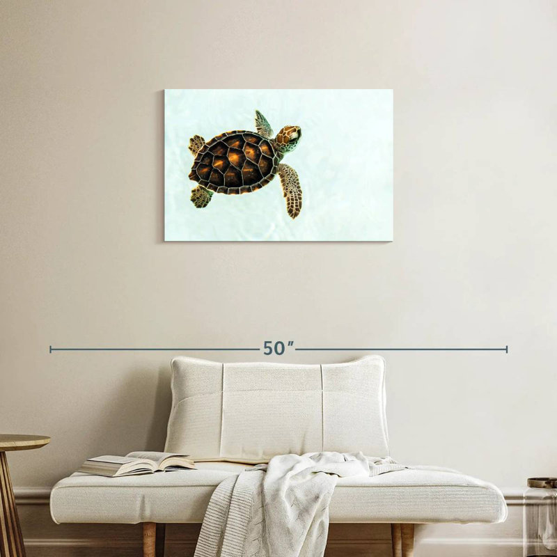Brampt Baby Turtle, 20" H x 30" W