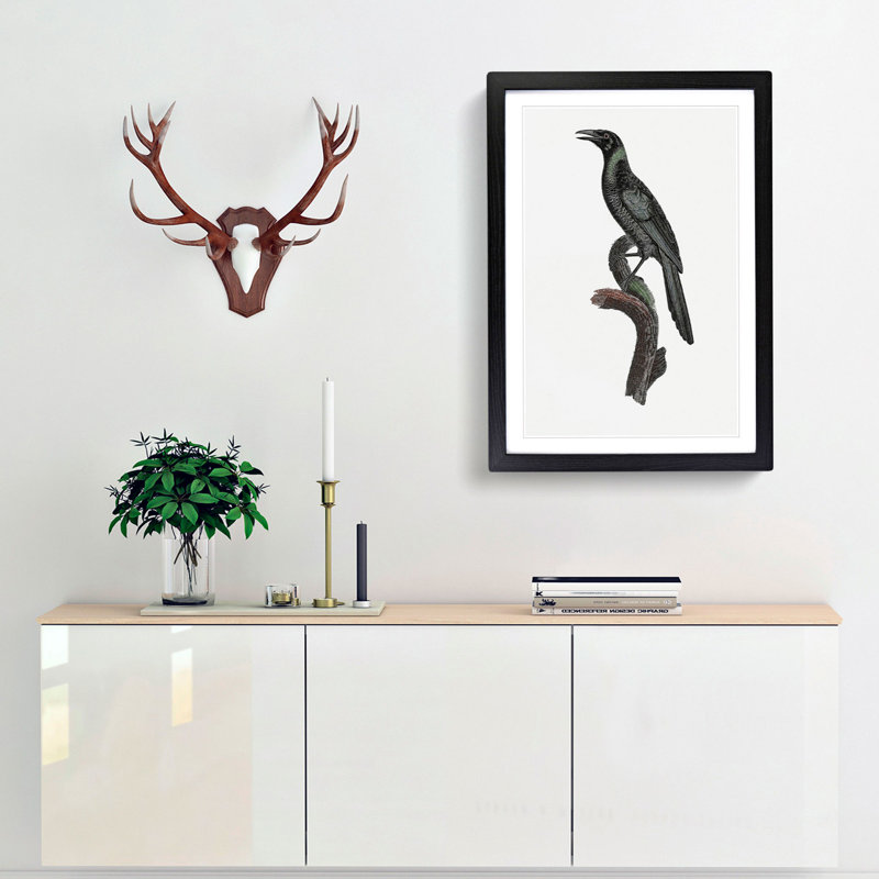 Manucode Bird of Paradise by Jacques Barraband - Picture Frame Painting Print, 36cm H x 27cm W x 2cm D, Black Framed