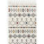 Rask Machine Made Indoor / Outdoor Area Rug-288474258