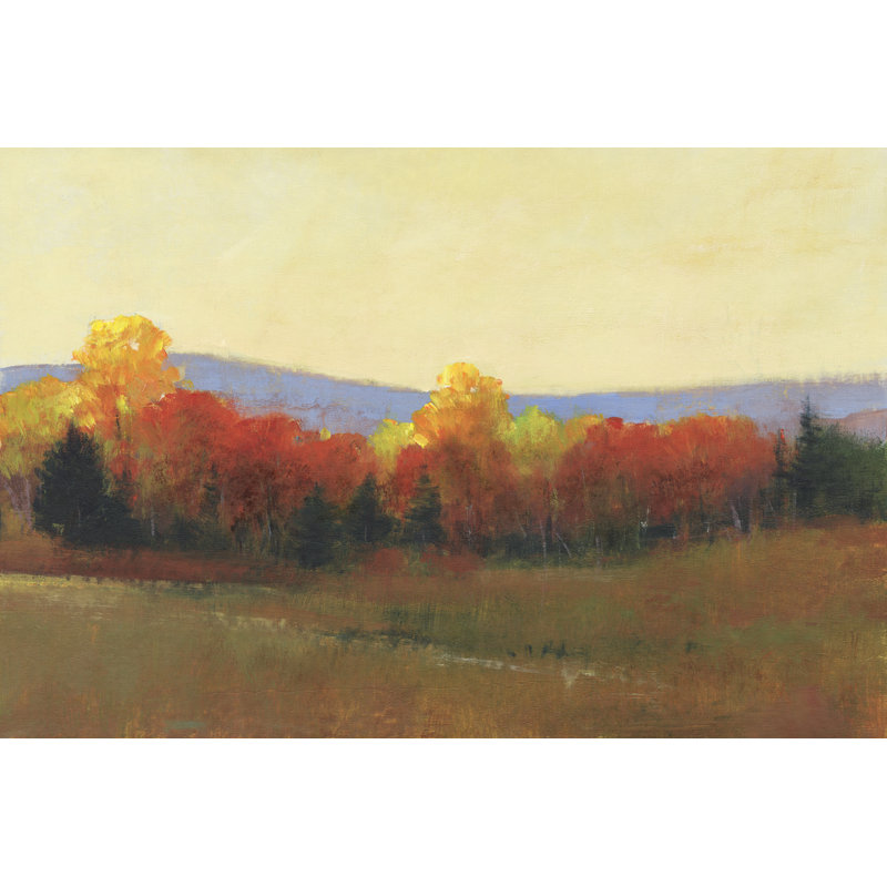 Changing Colours II by Tim O'Toole - Painting Print, 81cm H x 122cm W, Wrapped Canvas