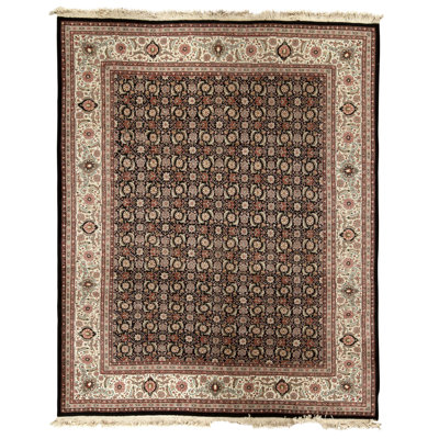 Hand Knotted Wool Area Rug in Black And Ivory