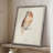 Tawny Owl Framed Print - Solid Wood-847941644
