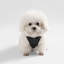 Harnais pour animal de compagnie Arlo-112400901