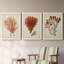 Antique Red Coral IV - Ensemble de 3 peintures sur toile encadrées-1301298120-1301298121