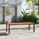 Alyisa Rectangular Eucalyptus Outdoor Dining Table