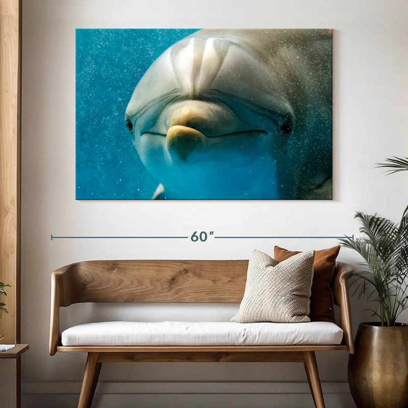Brampt Nosy Dolphin, 34" H x 51" W