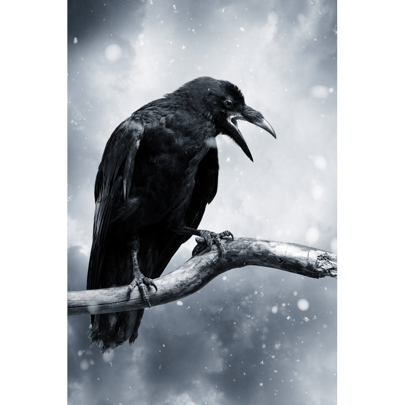 Raven par D-Keine, H 36 po x l 24 po