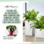 Plant Substrate-55087939