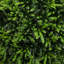 45cm Faux Boxwood Topiary in Pot Liner
