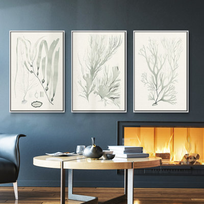 Ensemble de 3 pièces encadrées sur toile Sage Green Seaweed III