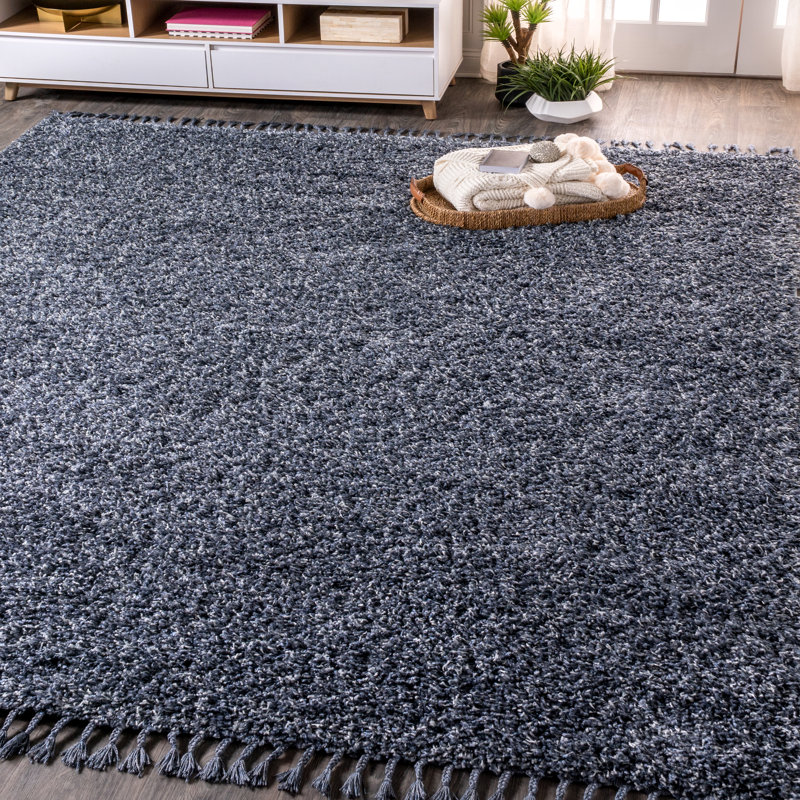 Felicdad Shag Plush Tassel Denim Blue Rug, Rectangle 4' x 6'