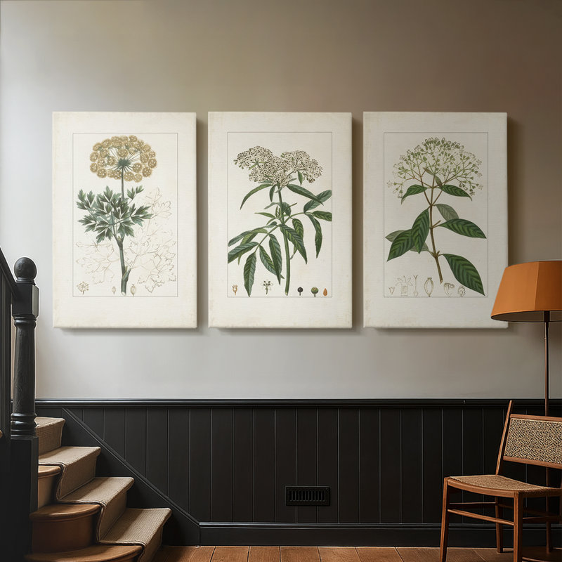 Antique Turpin Botanical VII - toile tendue avec châssis sur mesure - 3 pièces, H 18 po x l 36 po
