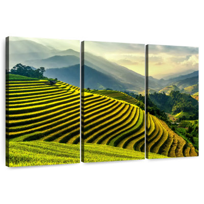 Harnek Yen Bai Rice Paddies