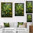 Cenaida " Herbs Collage Harmony "-1803535301-1803535303