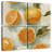 Yarlin Fresh Citrus I
