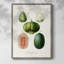 Reproduction encadrée de fruits et de légumes - bois massif-192918586