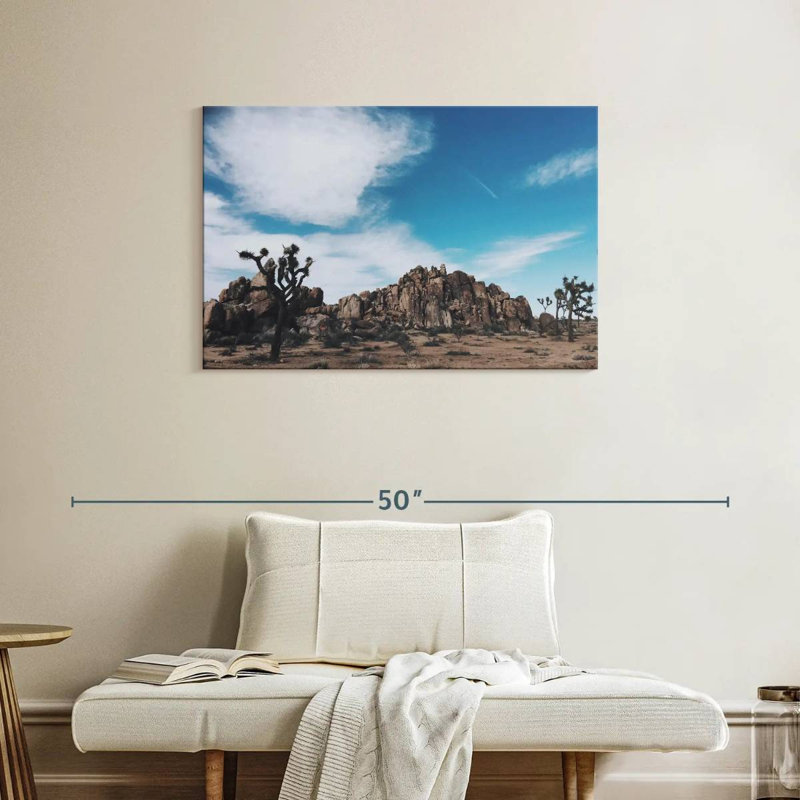 Nicci Joshua Tree Mastodon Peak, H 24 po x l 36 po