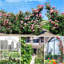 140cm W x 38cm D Metal Arbour in Black