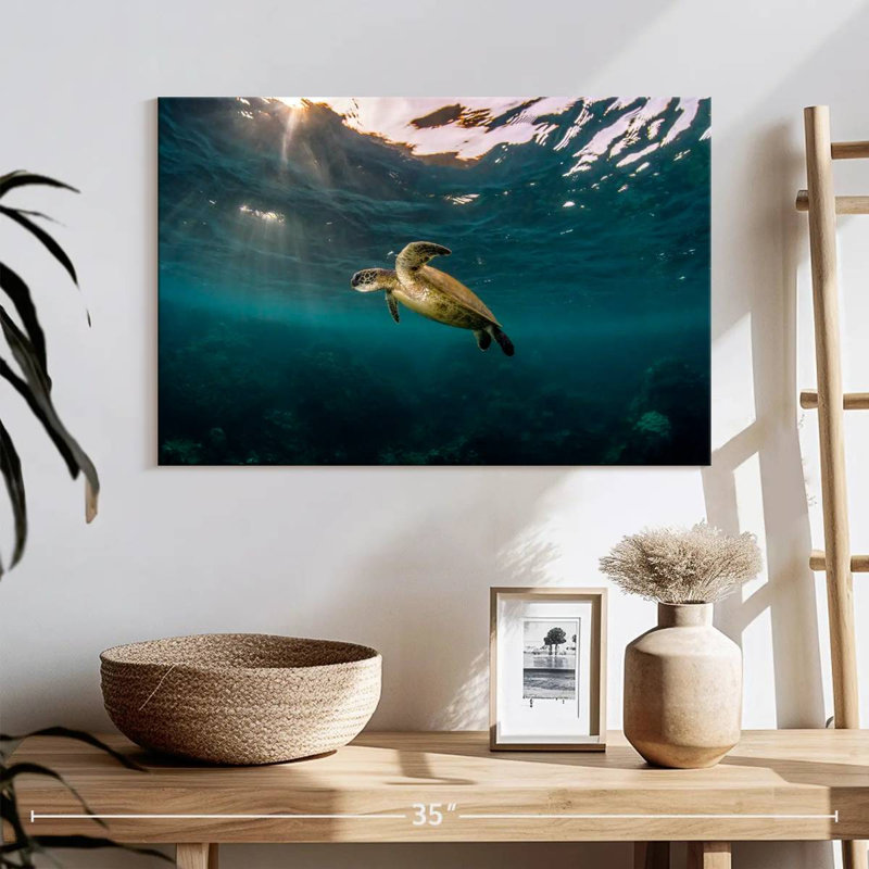Ningaloo Reef Sea Turtle, 16" H x 24" W